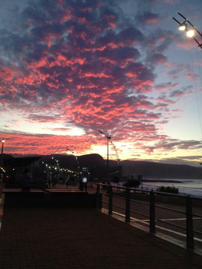 Alisio 51 Playa De Las Canteras 大加那利岛拉斯帕尔马斯 外观 照片