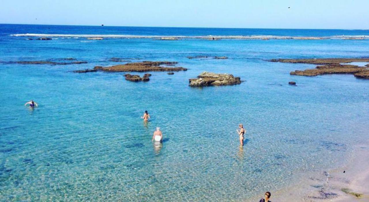 Alisio 51 Playa De Las Canteras 大加那利岛拉斯帕尔马斯 外观 照片